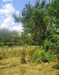 ������ �������� ������ ��������������������� �����������, ����� 5 ����� ���� 2