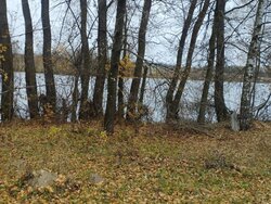 Продаж земельної ділянки під житлову забудову, площа 15 сот., с. Щітки фото 1 Продаж земельної ділянки під житлову забудову, площа 15 сот., с. Щітки фото 1