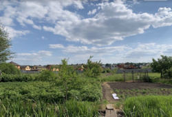 ������ �������� ������ �� ������� �������� �� ���. ������, ����� 11 ����� ���� 3