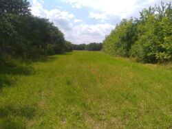 ��������� ������ ��������, �������, ³��������, ³������� ���� 1