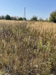 Продаж земельної ділянки під житлову забудову, площа 8 соток фото 3 Продаж земельної ділянки під житлову забудову, площа 8 соток фото 3