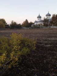 ������ �������� ������ �� ��������, �. ������ ���� 1