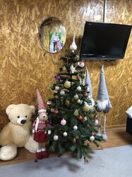 ������ �������� ������ �� ������� �������� �� ���. Գ����, ����� 5 ����� ���� 6