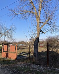 Продаж земельної ділянки під житлову забудову на вул. Черешнева, площа 6 соток фото 3 Продаж земельної ділянки під житлову забудову на вул. Черешнева, площа 6 соток фото 3