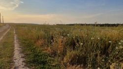 �������� ������ �����������, ( ������ ����) ���� 4