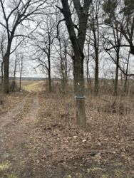 ������ �������� ������, �.��������� ���� 5