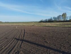 Продаж земельної ділянки, Гавришівка фото 1 Продаж земельної ділянки, Гавришівка фото 1