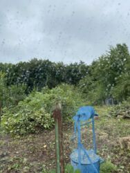 Ділянка Вінницькі Хутори. фото 2 Ділянка Вінницькі Хутори. фото 2