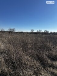 Продаж земельної ділянки під житлову забудову, площа 6 соток фото 5 Продаж земельної ділянки під житлову забудову, площа 6 соток фото 5