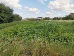 ������ �������� ������ ���� 7