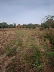 ��������� ������ ³�����, ³�������, ���������, �������� ���� 1