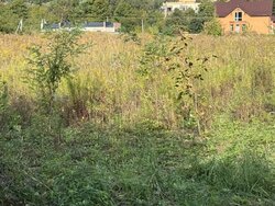 Продаж земельної ділянки під житлову забудову, площа 10 соток фото 4 Продаж земельної ділянки під житлову забудову, площа 10 соток фото 4