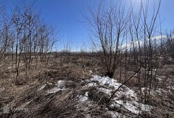 ������ �������� ������, 8 �����, �. �������� ���� 7