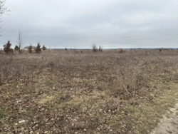 ������ �������� ������, �.��������� ���� 2