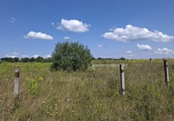 Продаж земельної ділянки під житлову забудову на вул. Прибережна, площа 14 соток фото 3 Продаж земельної ділянки під житлову забудову на вул. Прибережна, площа 14 соток фото 3