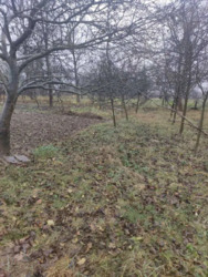 Продаж земельної ділянки, 10 соток. фото 4 Продаж земельної ділянки, 10 соток. фото 4