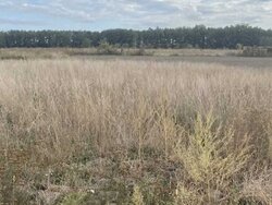 Продаж земельної ділянки під житлову забудову, площа 10 соток, смт. Стрижавка фото 1 Продаж земельної ділянки під житлову забудову, площа 10 соток, смт. Стрижавка фото 1