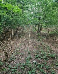 Продаж земельної ділянки під житлову забудову на вул. Крутнів Яр, площа 30 соток фото 11 Продаж земельної ділянки під житлову забудову на вул. Крутнів Яр, площа 30 соток фото 11