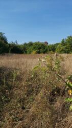 ��������� ������ ³�����, ³�������, ���������, ����-����������� ���� 1