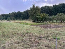 Продаж земельної ділянки сільськогосподарського призначення, площа 15.5 сотки фото 2 Продаж земельної ділянки сільськогосподарського призначення, площа 15.5 сотки фото 2