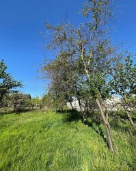 Продаж земельної ділянки під житлову забудову на вул. Заводська, площа 20 соток фото 4 Продаж земельної ділянки під житлову забудову на вул. Заводська, площа 20 соток фото 4