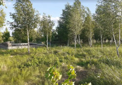 ������ �������� ������ ��������������������� ����������� �� ���. ���������, ����� 7 �� ���� 1