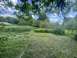 Земельна ділянка з виходом до Південного Бугу фото 3 Земельна ділянка з виходом до Південного Бугу фото 3