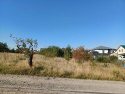 Земельна ділянка, Вінницькі Хутори фото 2 Земельна ділянка, Вінницькі Хутори фото 2