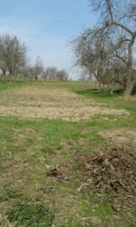 ������ �������� ������ � �������� ³�����, �. �������� ���� 1