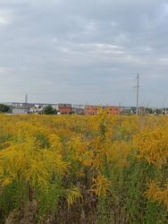 ������ �������� ������, ���. ���������, 6 ����� ���� 2