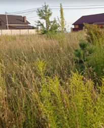 ������ �������� ������ �� ������� �������� �� ����. 3-� ������� ��������, ����� 9 ����� ���� 3