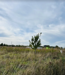 ������ �������� ������ �� ������� �������� �� �����. �������������, ����� 8 ����� ���� 2