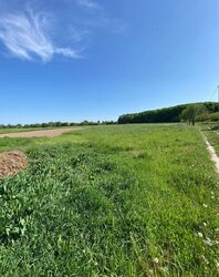 Продаж земельної ділянки під житлову забудову на вулиця Івана Франка, площа 18 соток фото 4 Продаж земельної ділянки під житлову забудову на вулиця Івана Франка, площа 18 соток фото 4