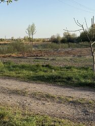 Продаж земельної ділянки сільськогосподарського призначення, площа 15 соток фото 1 Продаж земельної ділянки сільськогосподарського призначення, площа 15 соток фото 1