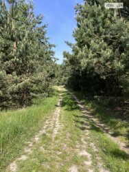 ������ �������� ������ ��������������������� �����������, ����� 8 �� ���� 11