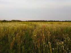 ������ �������� ������, 70 ���., �. �������� ���� 1