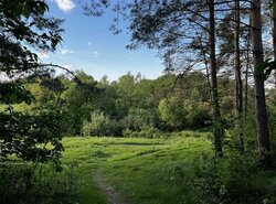 Продаж земельної ділянки сільськогосподарського призначення, на СТ Комунальник, площа 0.0423 Га фото 1 Продаж земельної ділянки сільськогосподарського призначення, на СТ Комунальник, площа 0.0423 Га фото 1