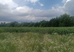 ������ �������� ������ ��������������������� �����������, ����� 1.3 �� ���� 1