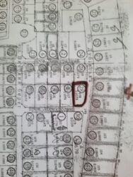 ��������� ������ ³�����, ³�������, ���������, �������� ���� 1