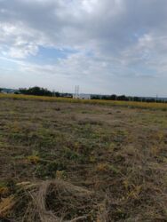 ������ �������� ������, ���. ���������, 6 ����� ���� 5