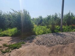 Продаж земельної ділянки сільськогосподарського призначення на 3-й пров. Східний, площа 1.4061 Га фото 2 Продаж земельної ділянки сільськогосподарського призначення на 3-й пров. Східний, площа 1.4061 Га фото 2