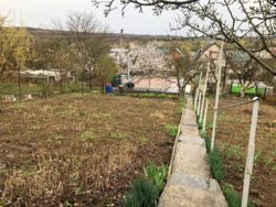 ��������� ������ �������� �������� 79, ������, �����������, ³������� ���� 6