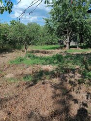 ������ �������� ������ �� ������� ��������, ����� 15 �����, �. г���� ���� 3