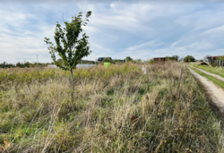 ������ �������� ������ �� ������� �������� �� �����. �������������, ����� 8 ����� ���� 1