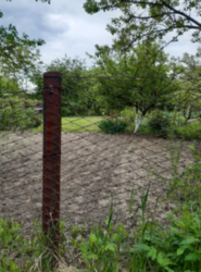 ������ ������ 5 �. ����� ���� 2