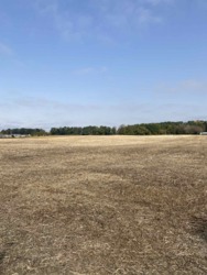 ������ ������ 4.2�� ���� 1