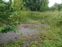 ������ �������� ������, ����-����������� ���� 1