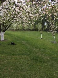 Продаж земельної ділянки під житлову забудову на вул. Деснянська, площа 30 соток фото 3 Продаж земельної ділянки під житлову забудову на вул. Деснянська, площа 30 соток фото 3