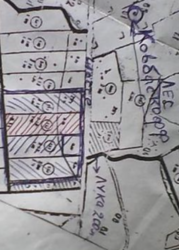 Продаж земельної ділянки комерційного призначення в селі Лука-Мелешківська, Вінницькій області, Коцюбинского улица, площа 214.48 сотки фото 7 Продаж земельної ділянки комерційного призначення в селі Лука-Мелешківська, Вінницькій області, Коцюбинского улица, площа 214.48 сотки фото 7