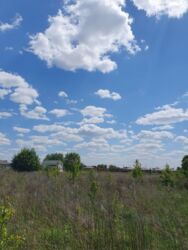 Продаж ділянки, 20 соток, с. Якушинці. фото 1 Продаж ділянки, 20 соток, с. Якушинці. фото 1